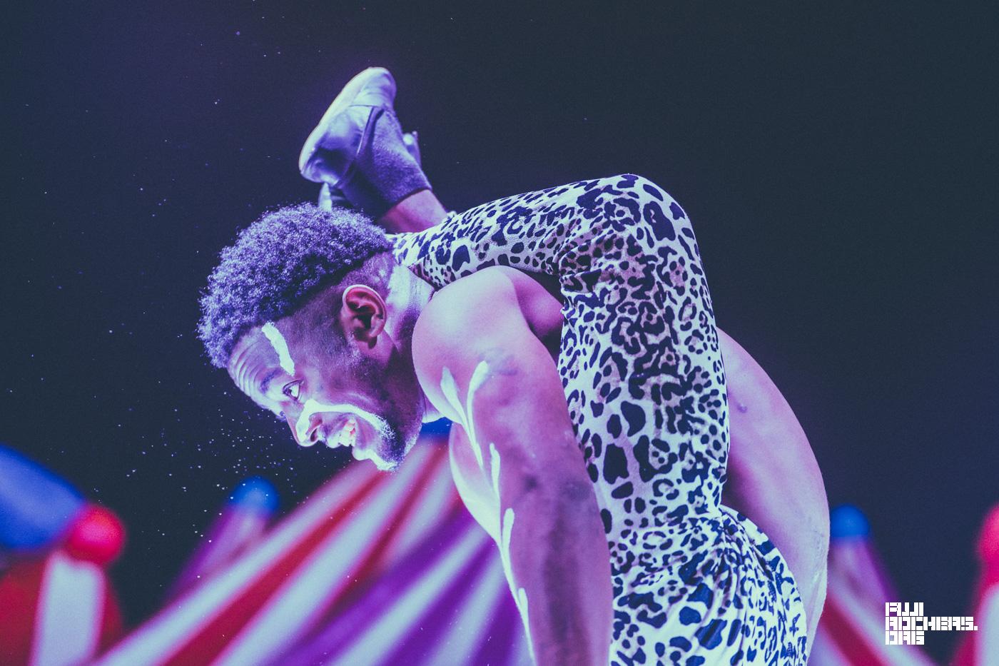 SAKURA CIRCUS