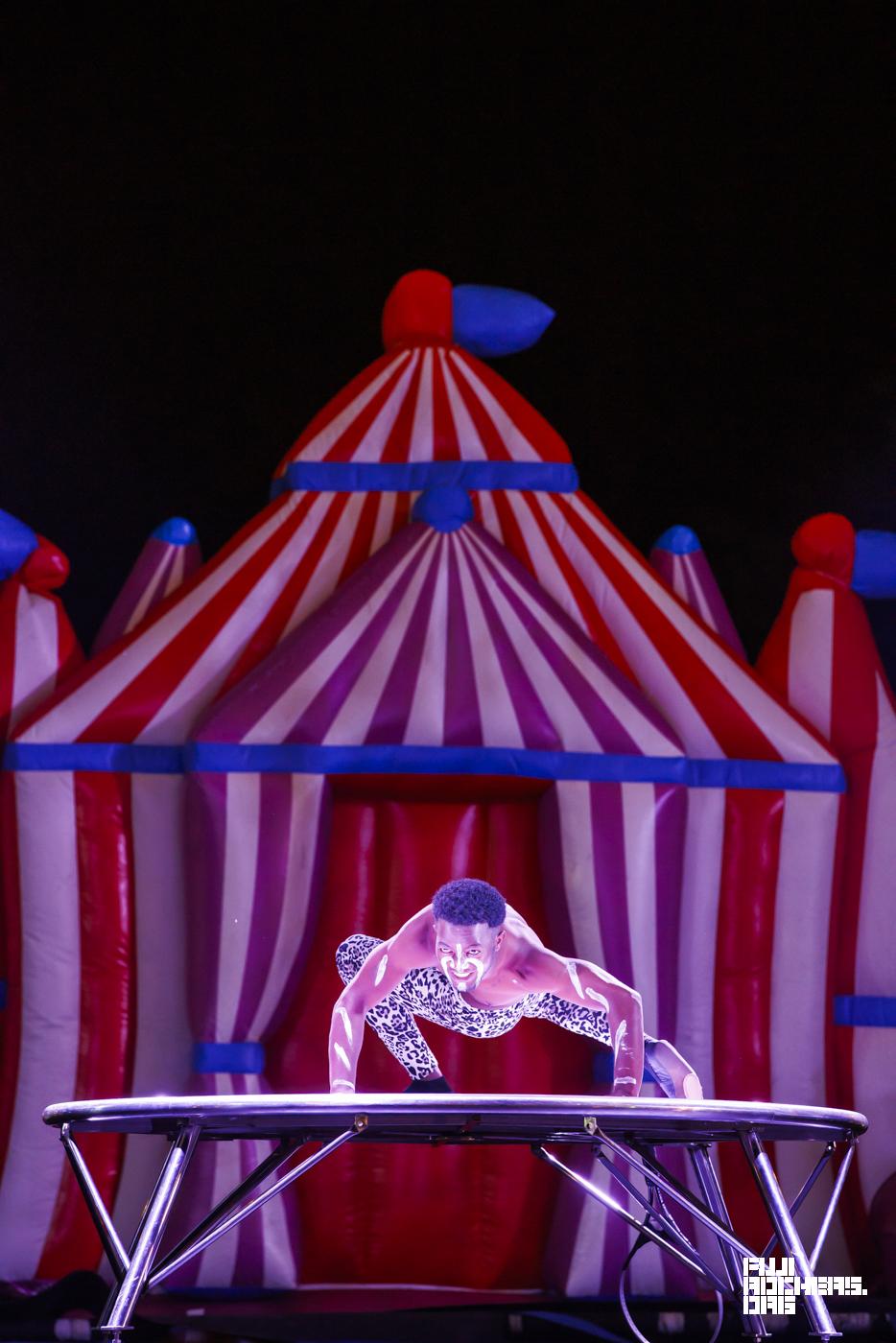 SAKURA CIRCUS