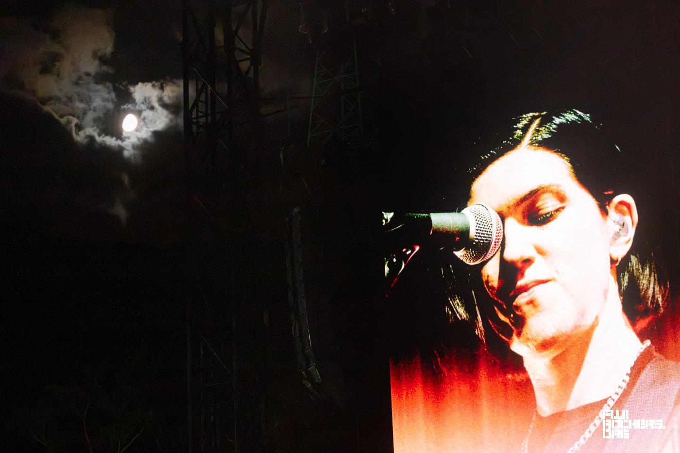 The xx