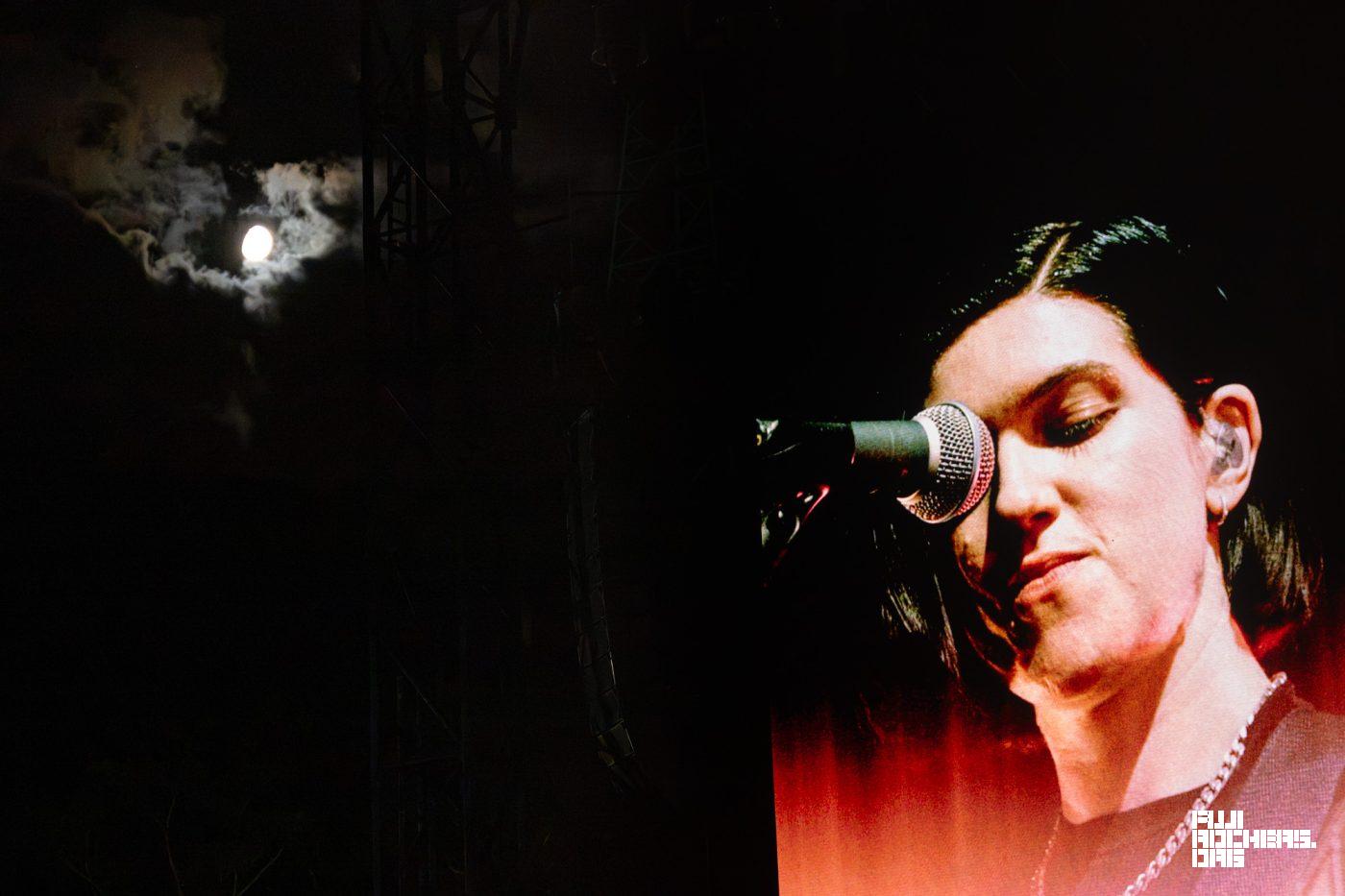 The xx