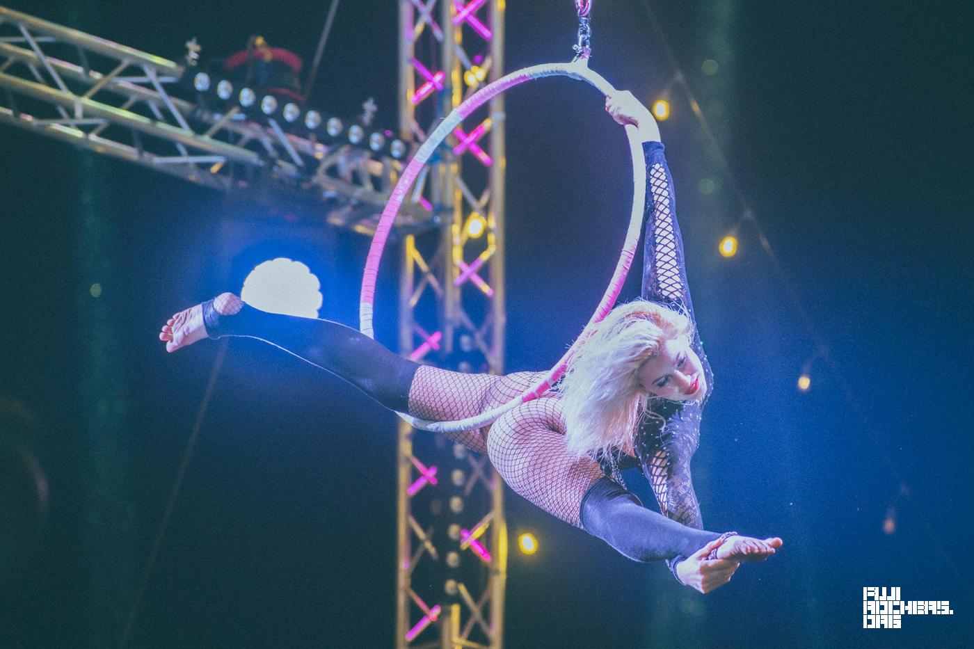 SAKURA CIRCUS