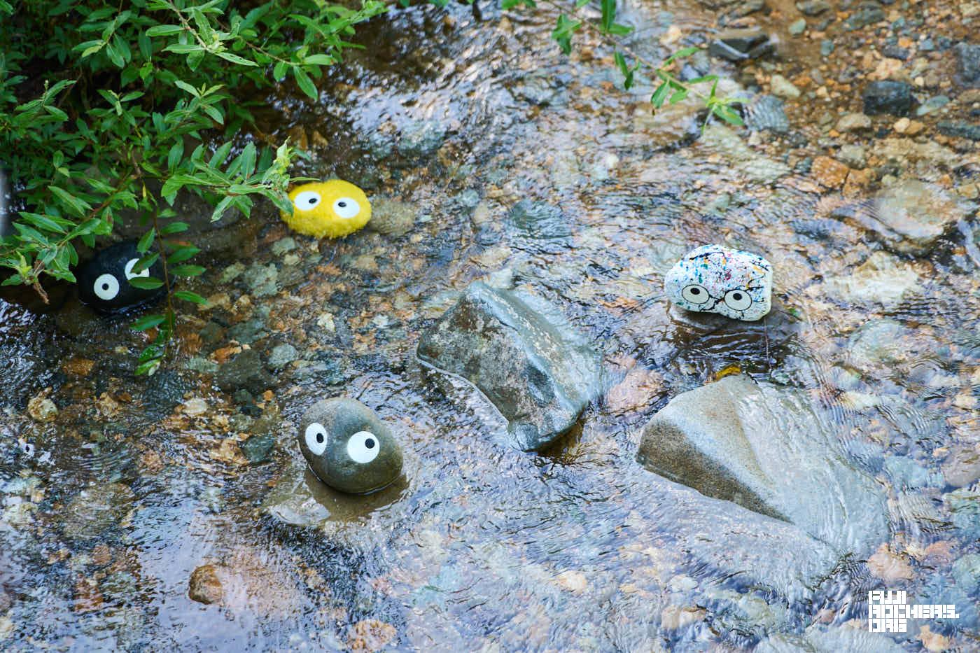 ゴンちゃんしか居ない川