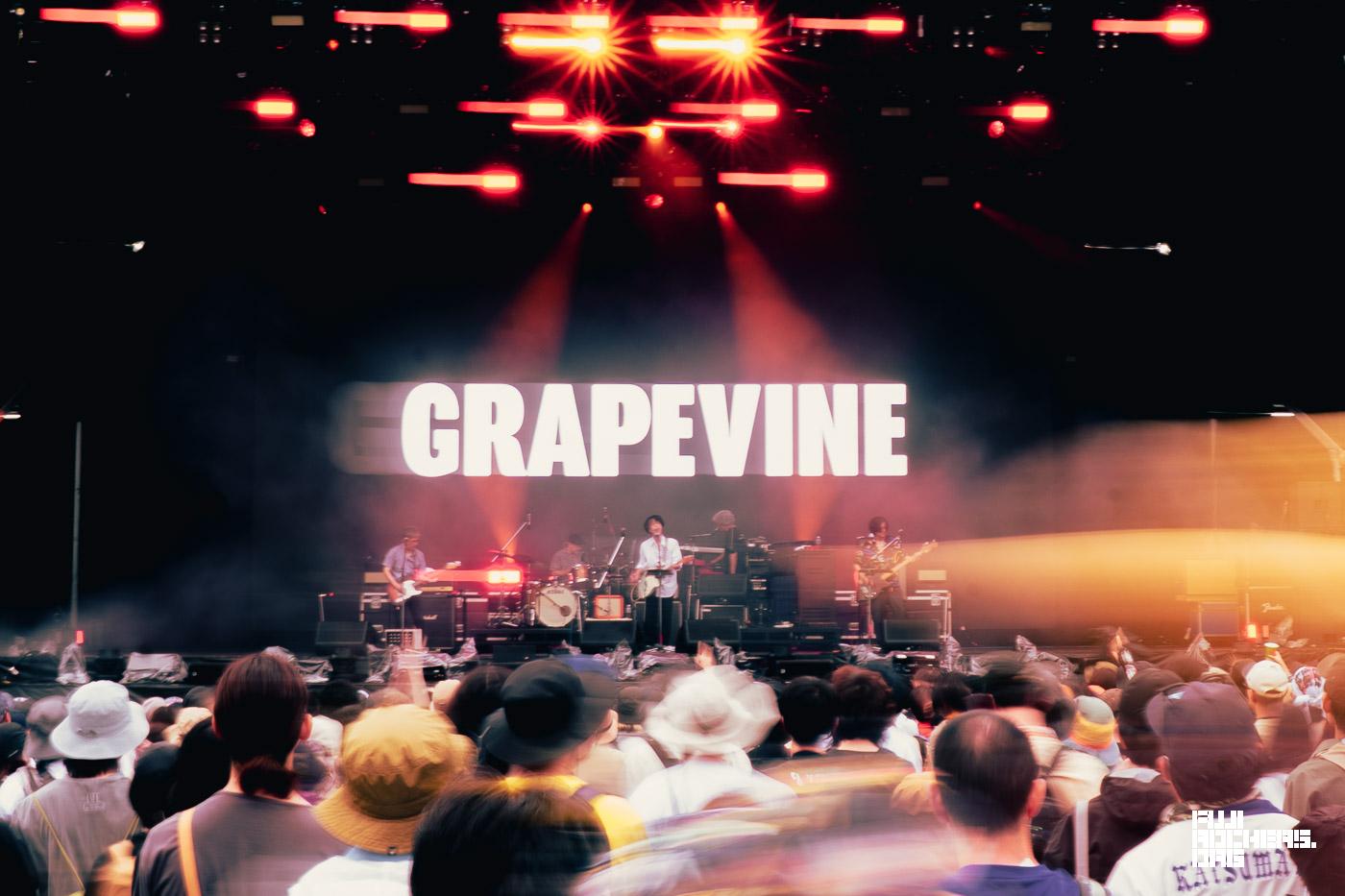 GRAPEVINE