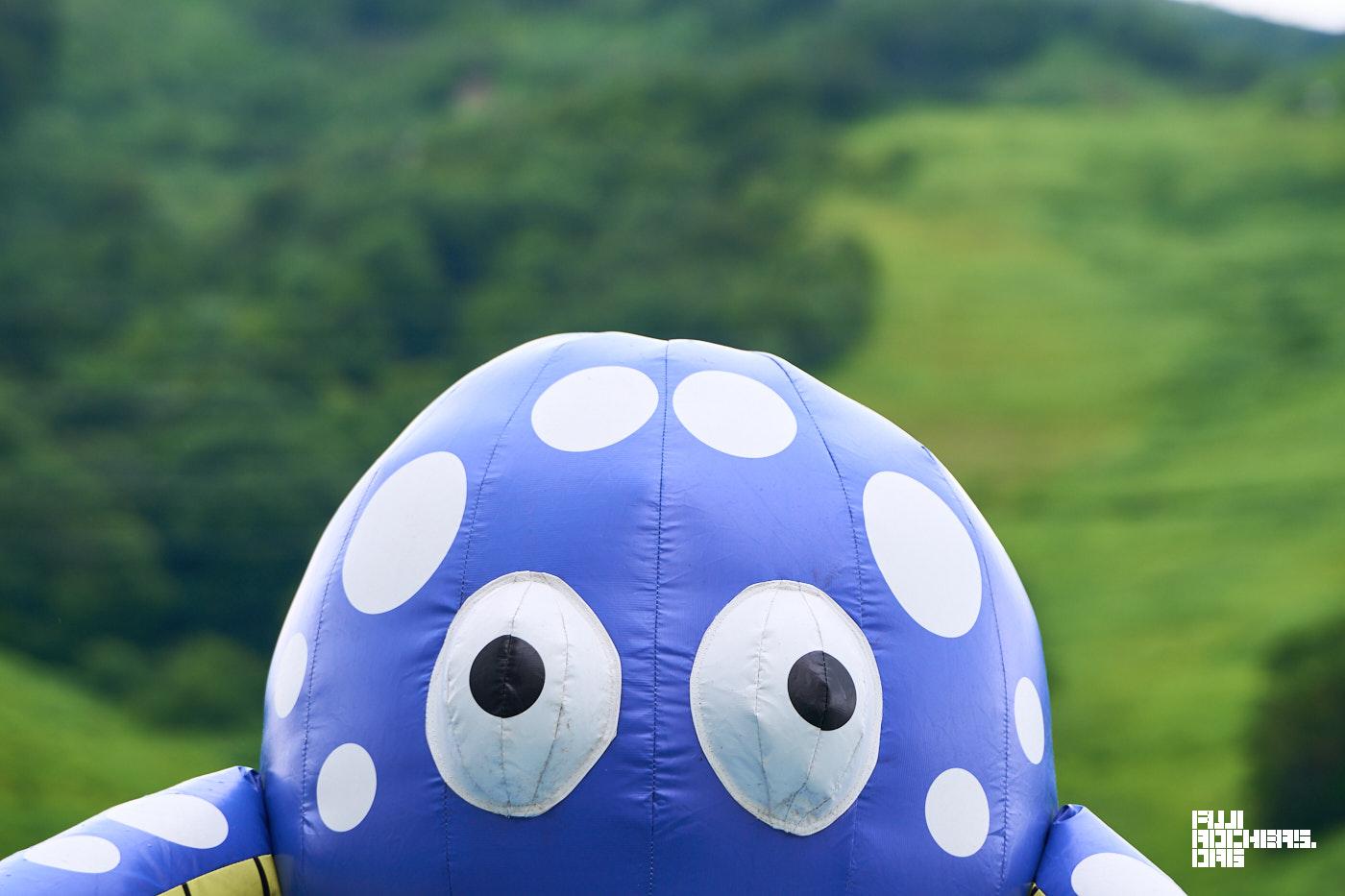 ゴンちゃん？