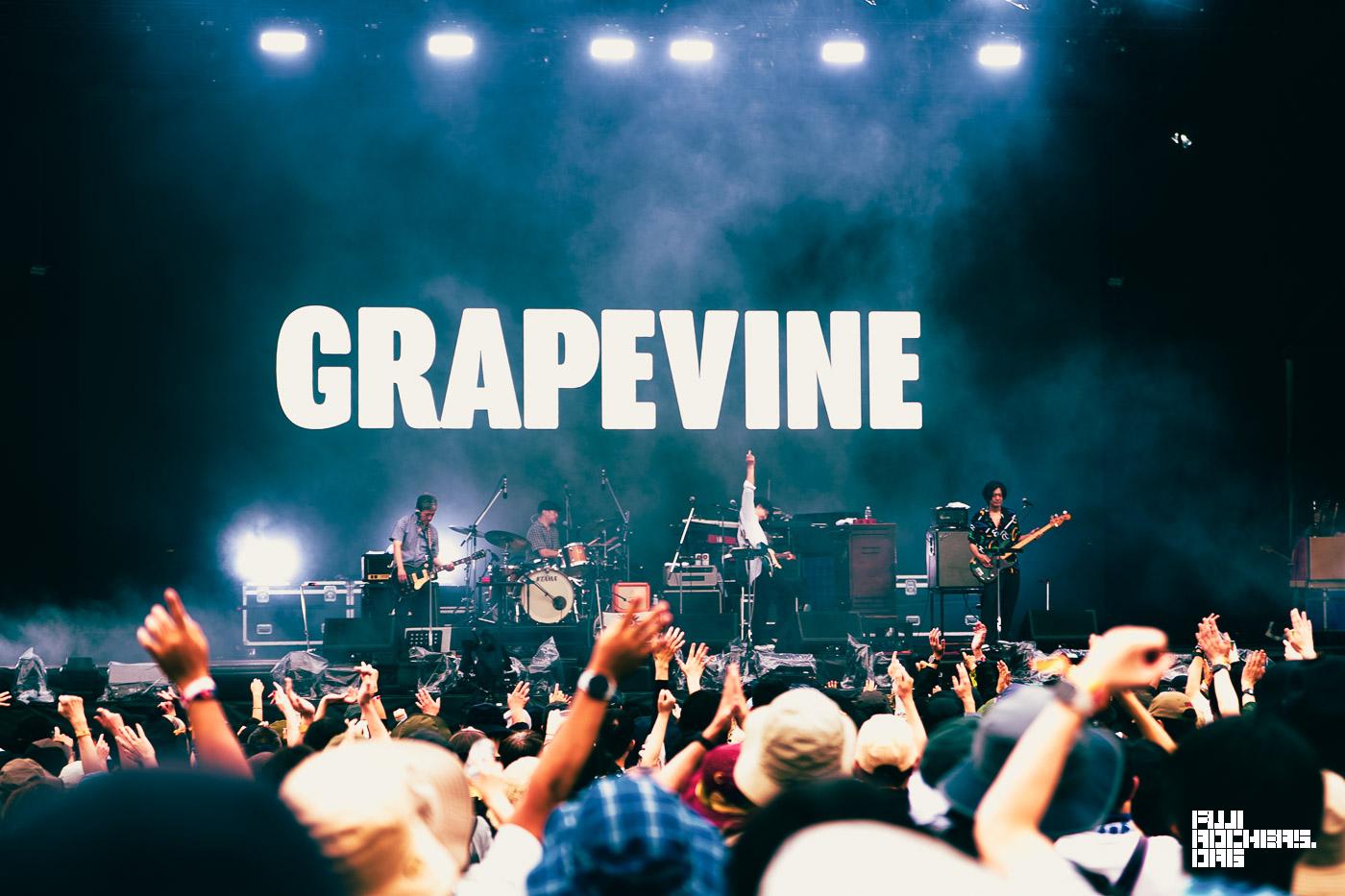 GRAPEVINE