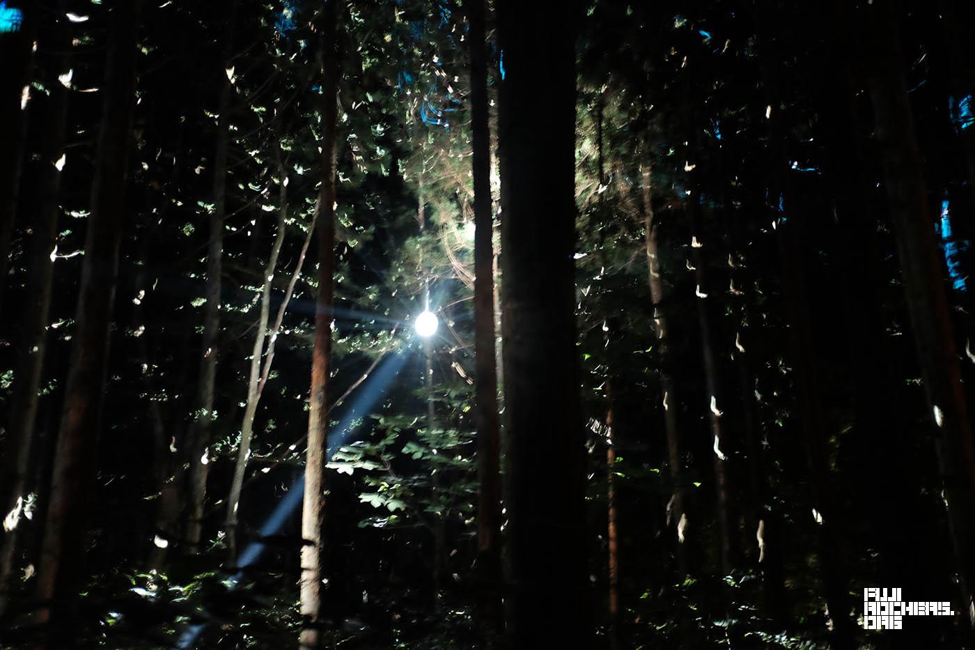 今夜、サイケ、足りてる？