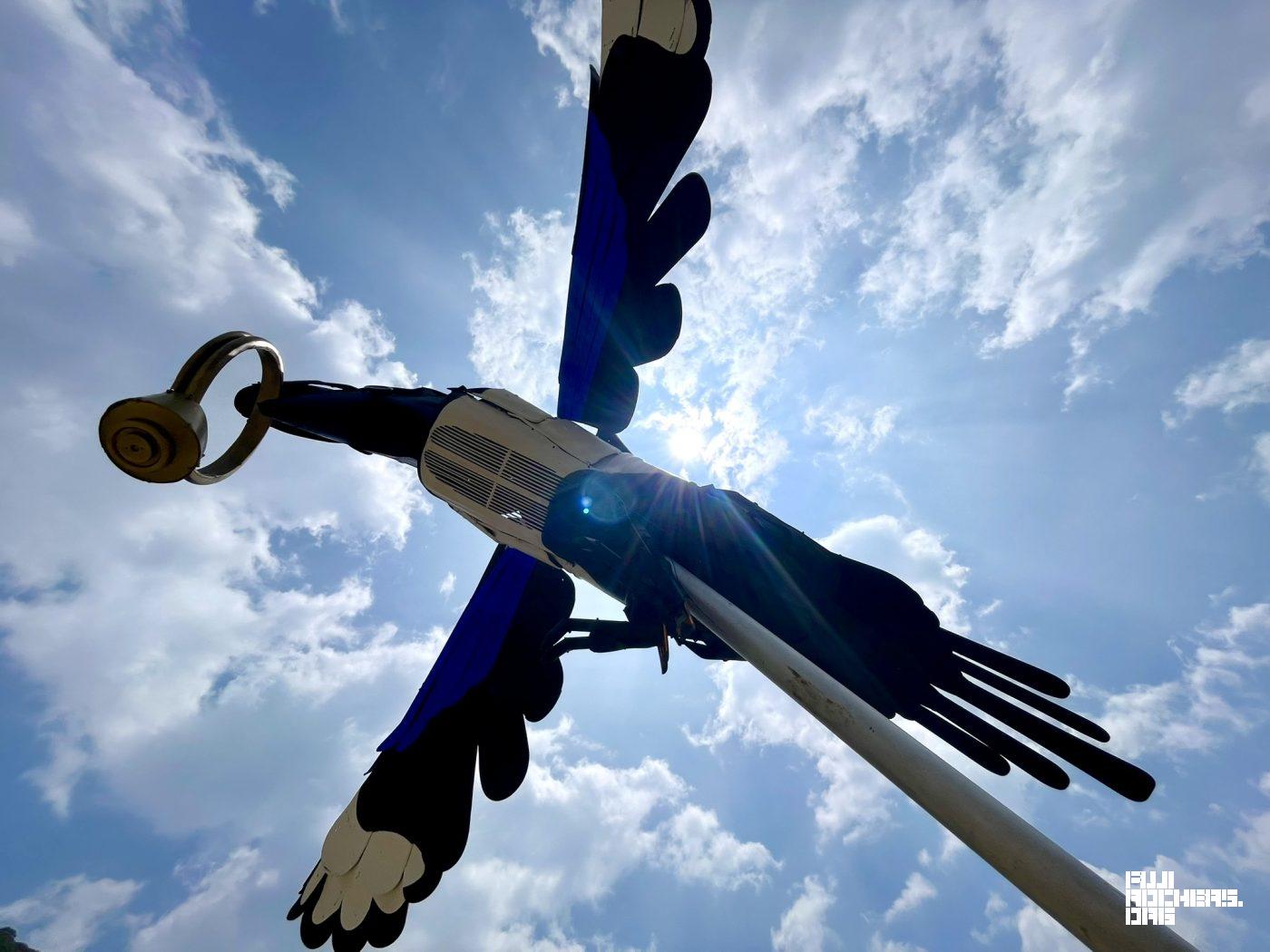大空を羽ばたく鳥