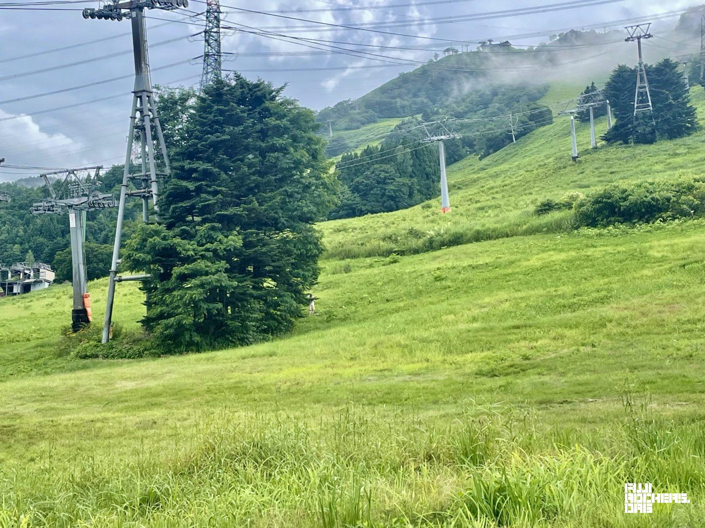 山からホーンの音がする！