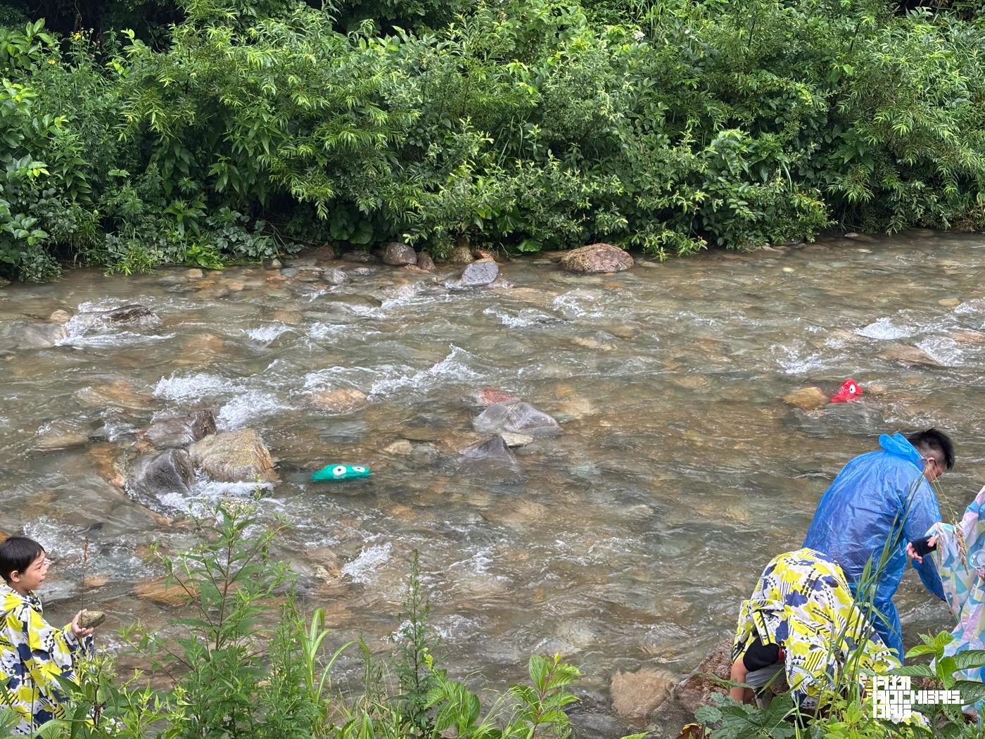 「誰か！連れて帰って」ゴンちゃんより