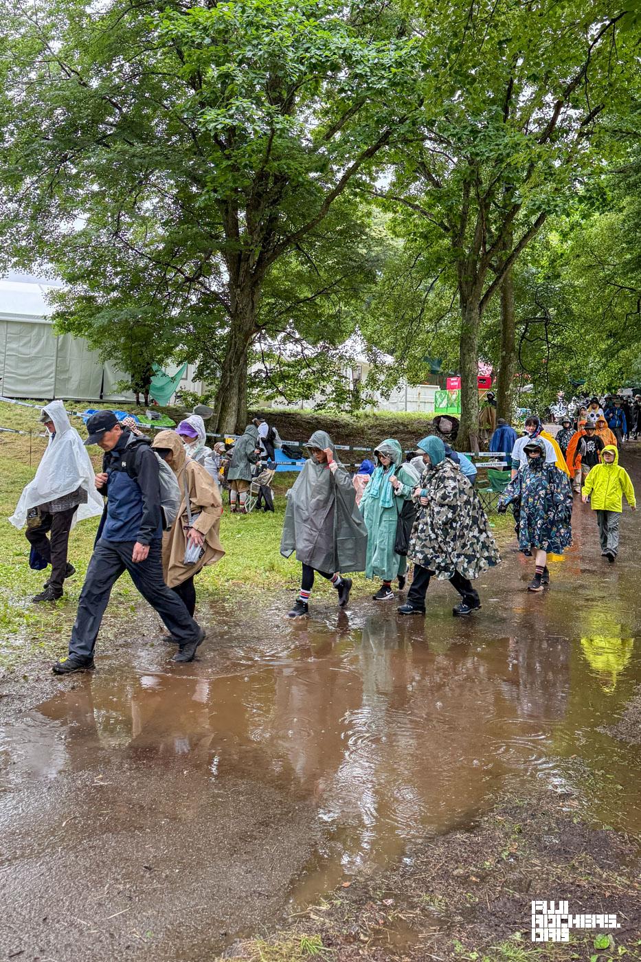 フジロックの雨