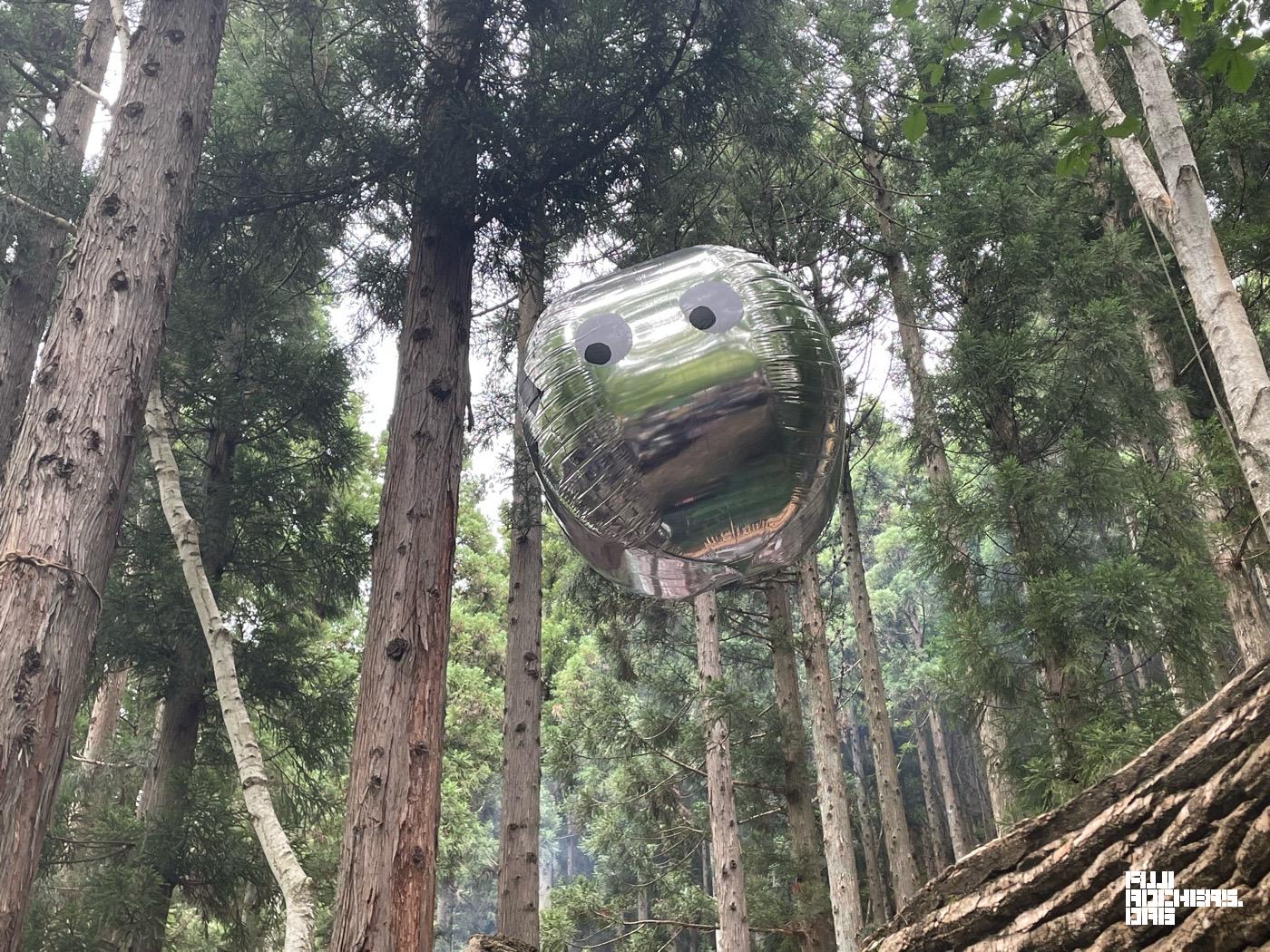 空飛ぶゴンちゃん出現。