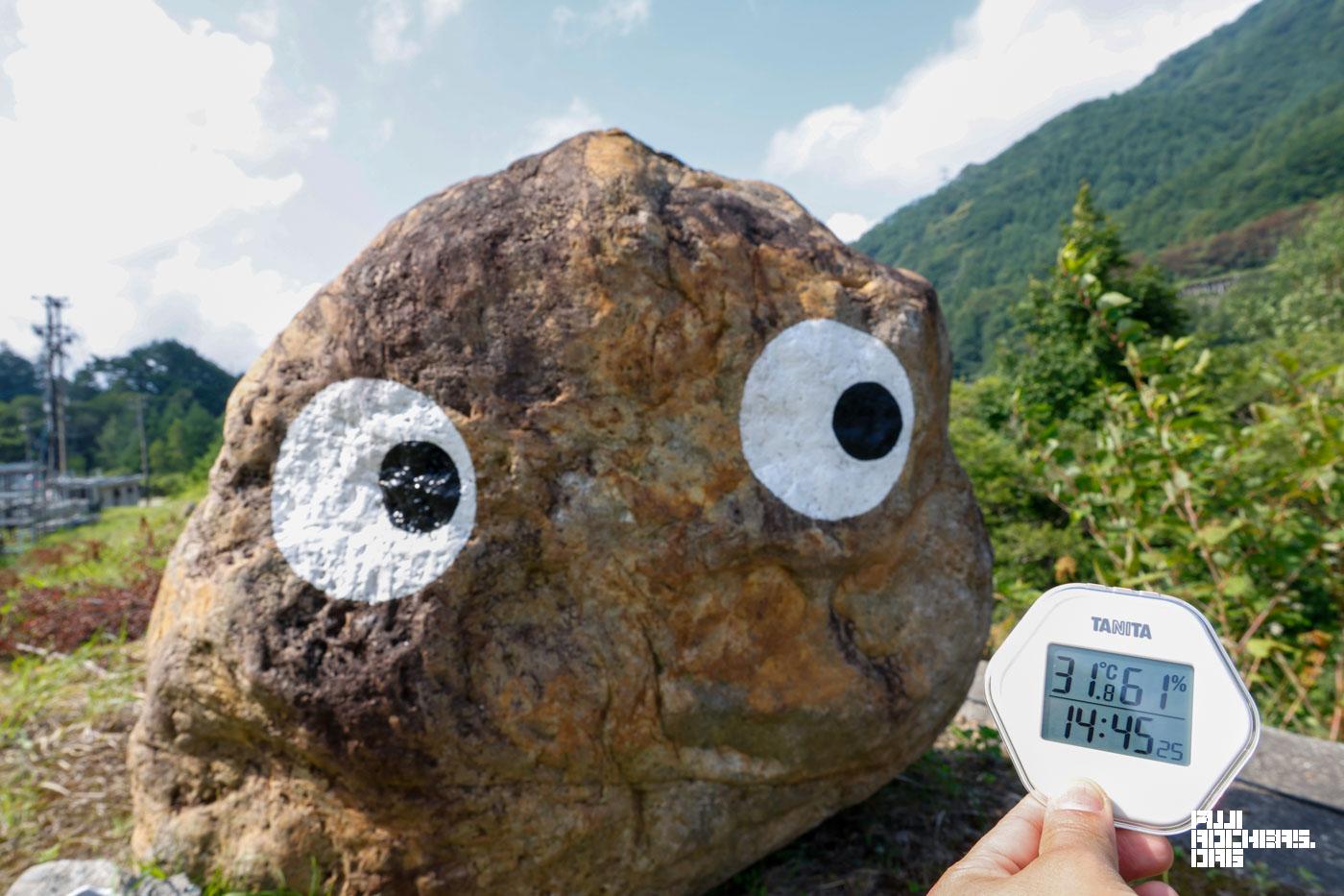 ゴンちゃん今、何度？