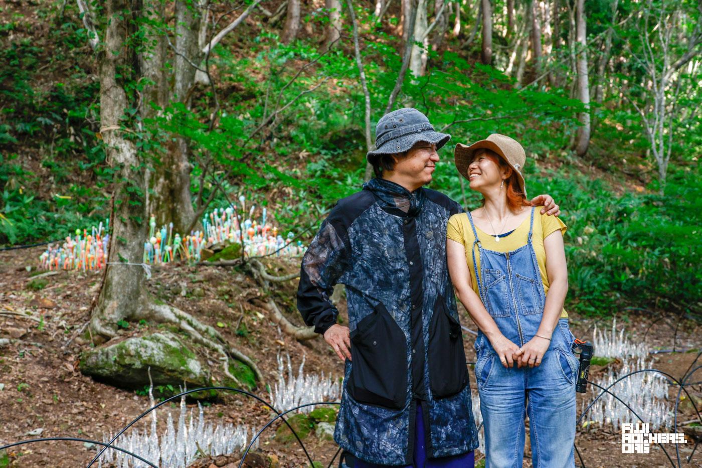 キッズランドの森のガラス装飾