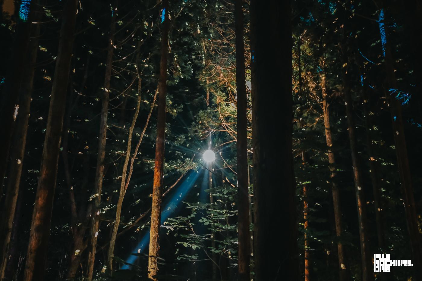 夜の木道亭はサイケが足りてる。