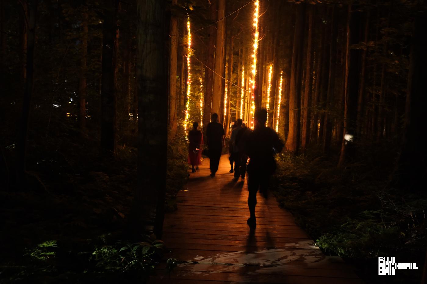 夜の木道亭はサイケが足りてる。