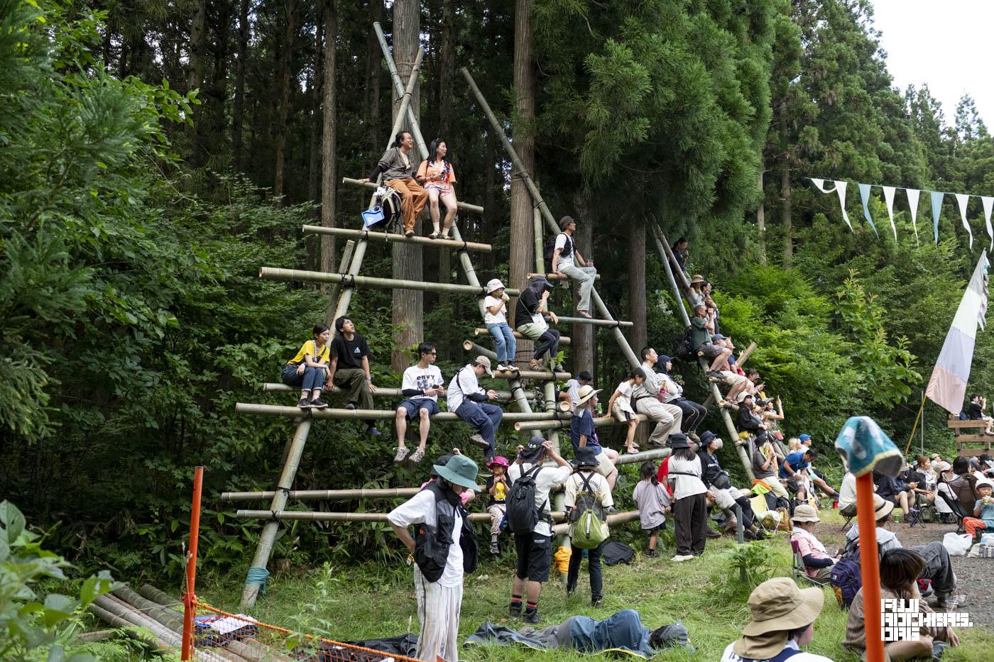 高みの見物
